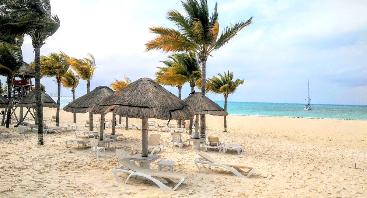 Palm trees and beach umbrellas on the sand in Cancún